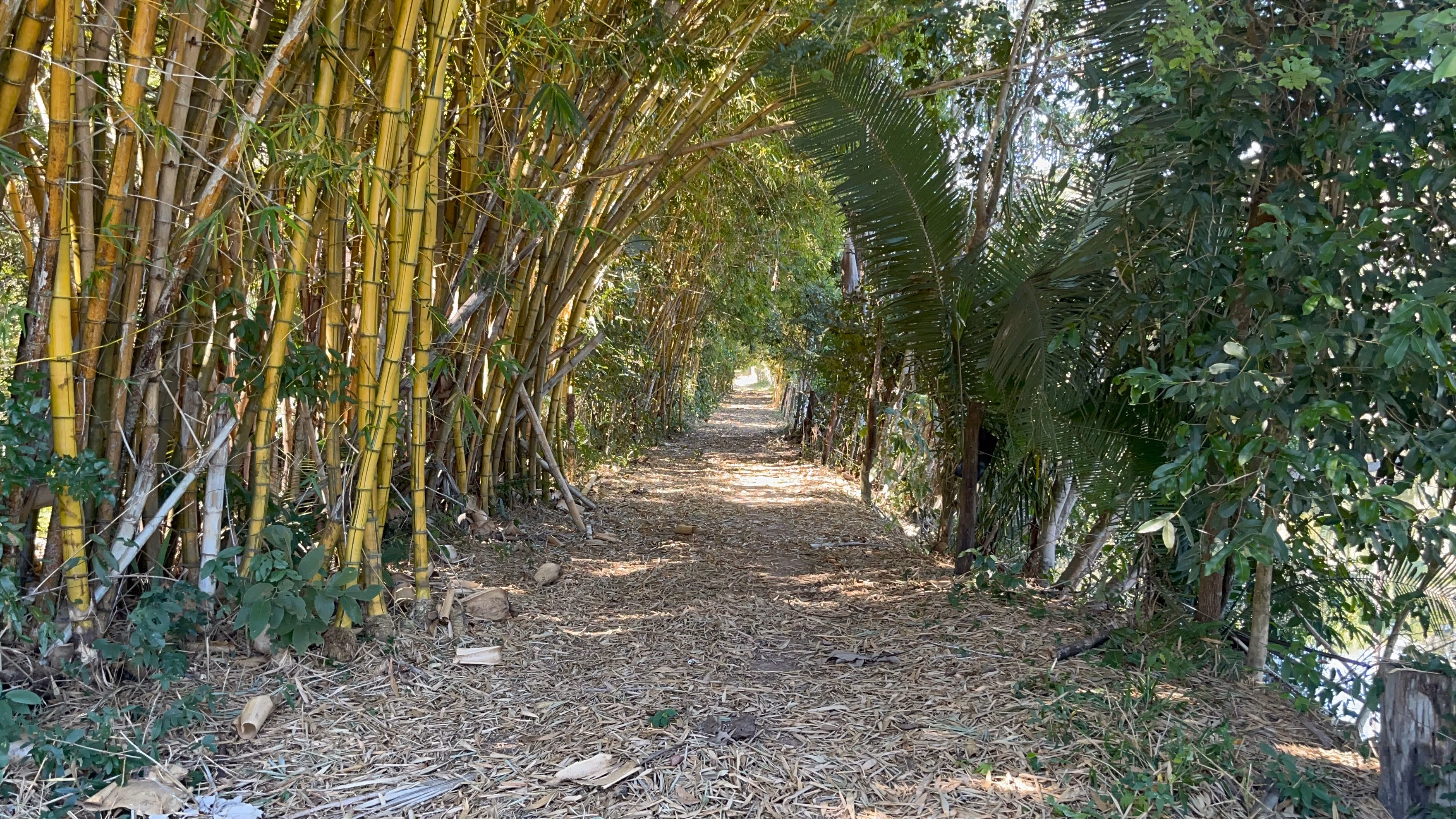 Farm of 1.359 acres in Santo Antônio de Leverger, MT, Brazil