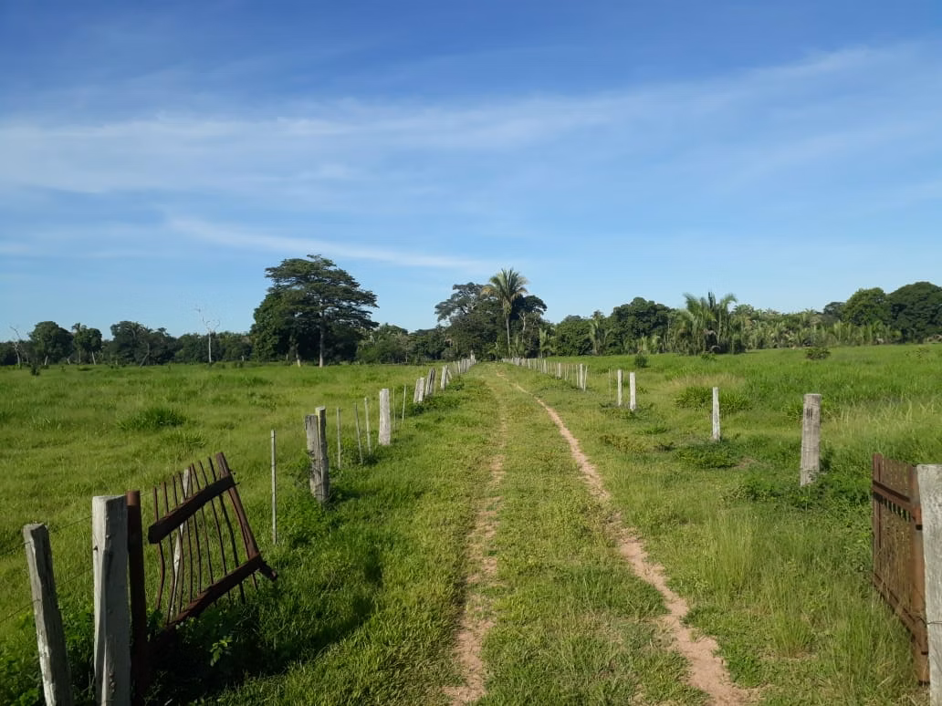 Farm of 1.359 acres in Santo Antônio de Leverger, MT, Brazil