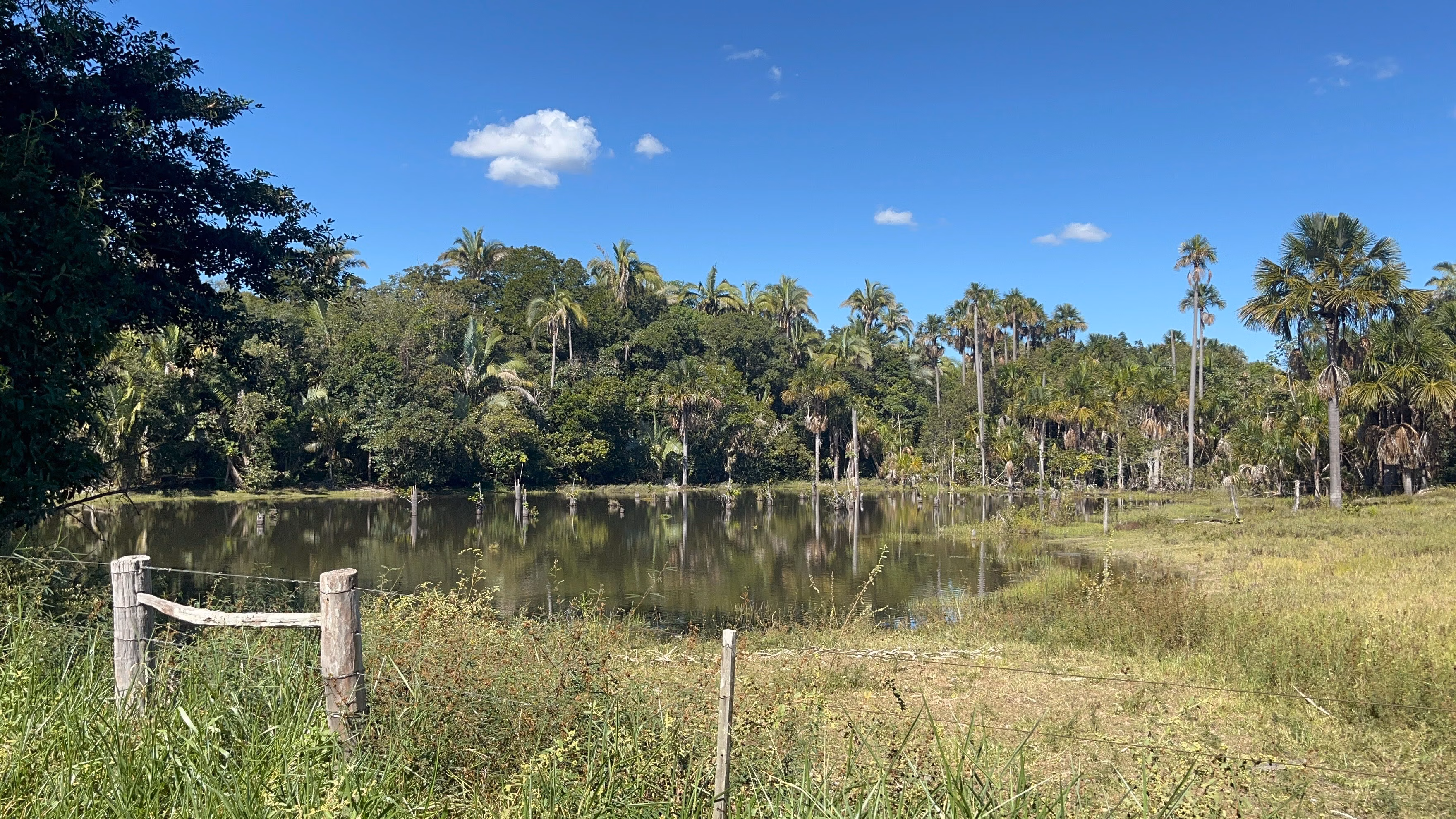 Farm of 1.359 acres in Santo Antônio de Leverger, MT, Brazil