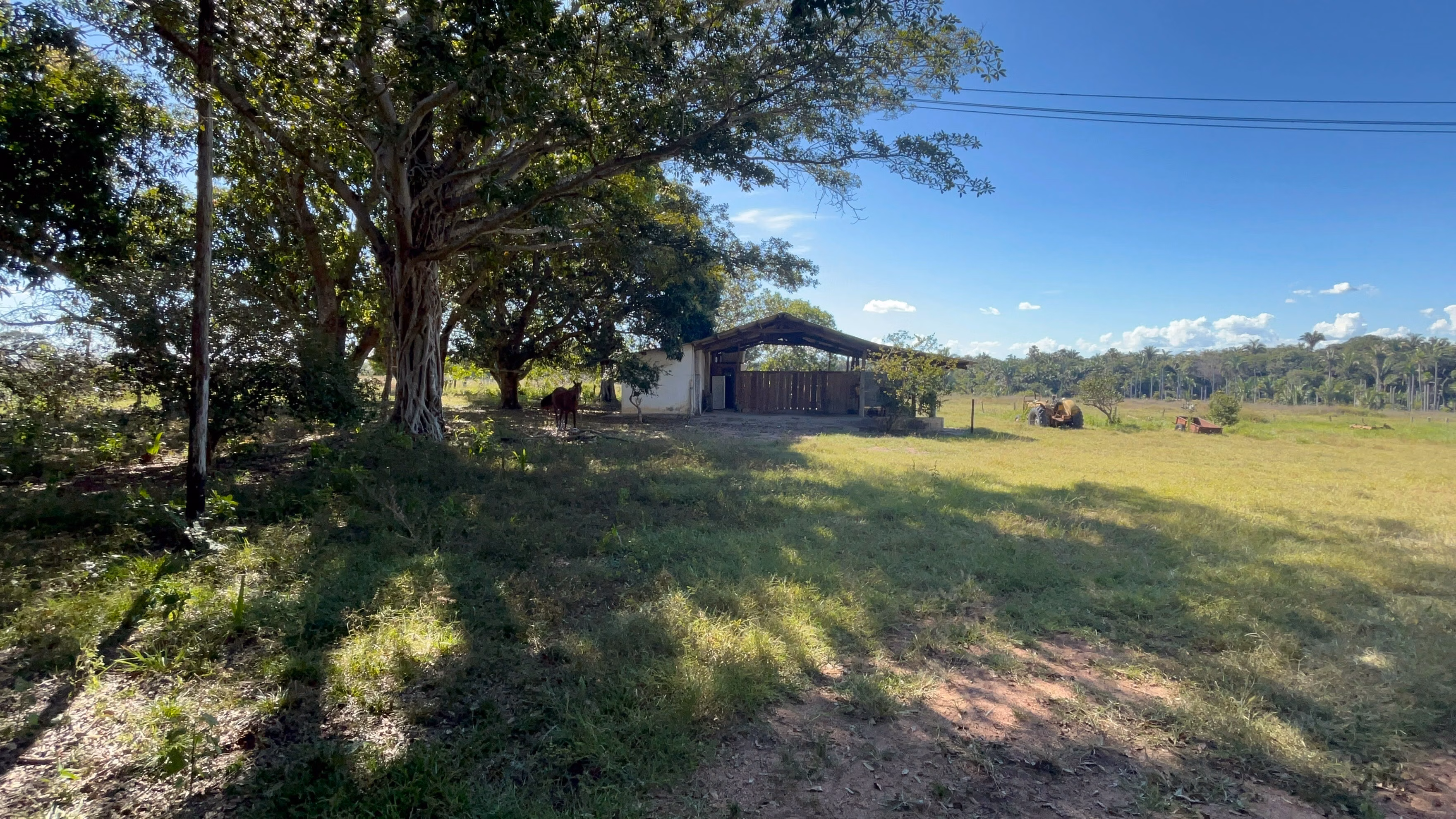 Farm of 1.359 acres in Santo Antônio de Leverger, MT, Brazil