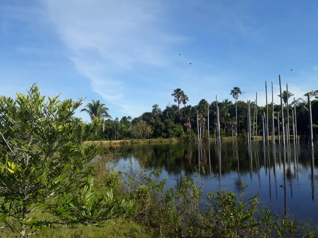 Farm of 1.359 acres in Santo Antônio de Leverger, MT, Brazil