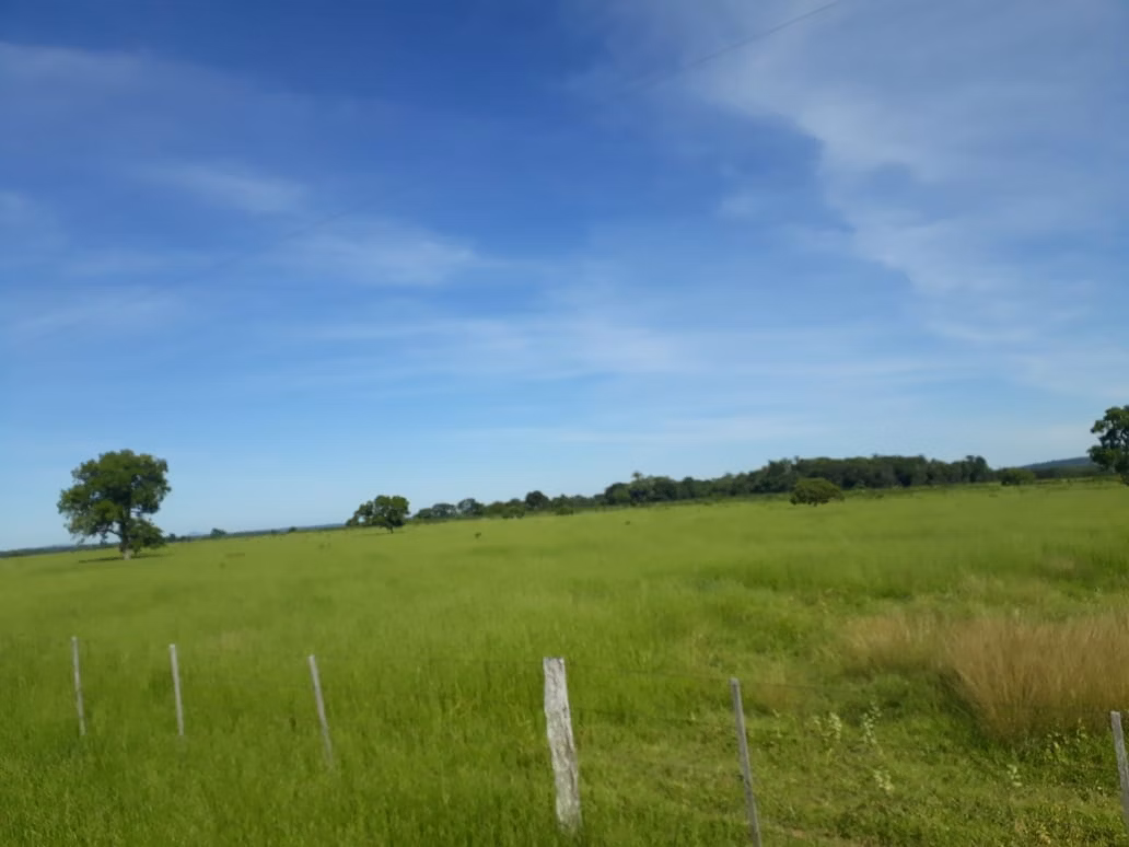 Farm of 1.359 acres in Santo Antônio de Leverger, MT, Brazil