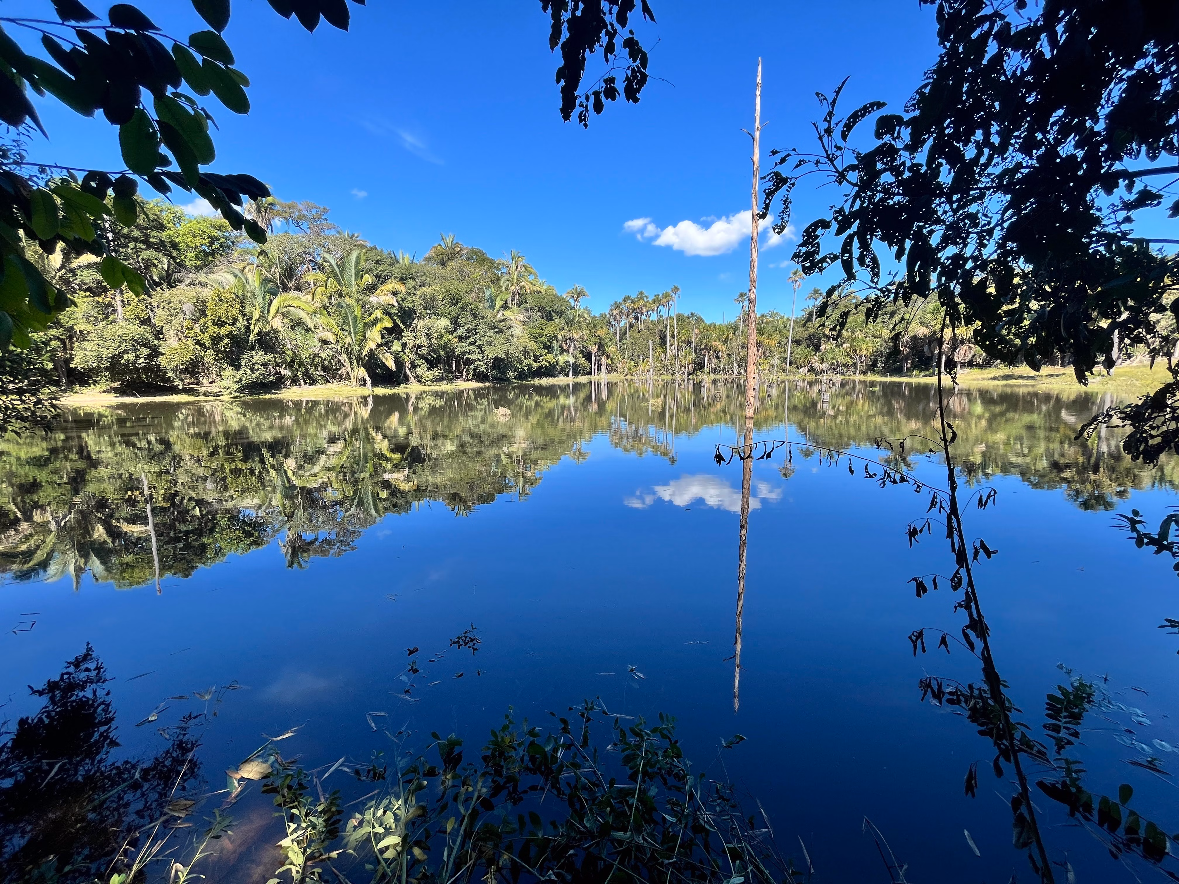 Farm of 1.359 acres in Santo Antônio de Leverger, MT, Brazil
