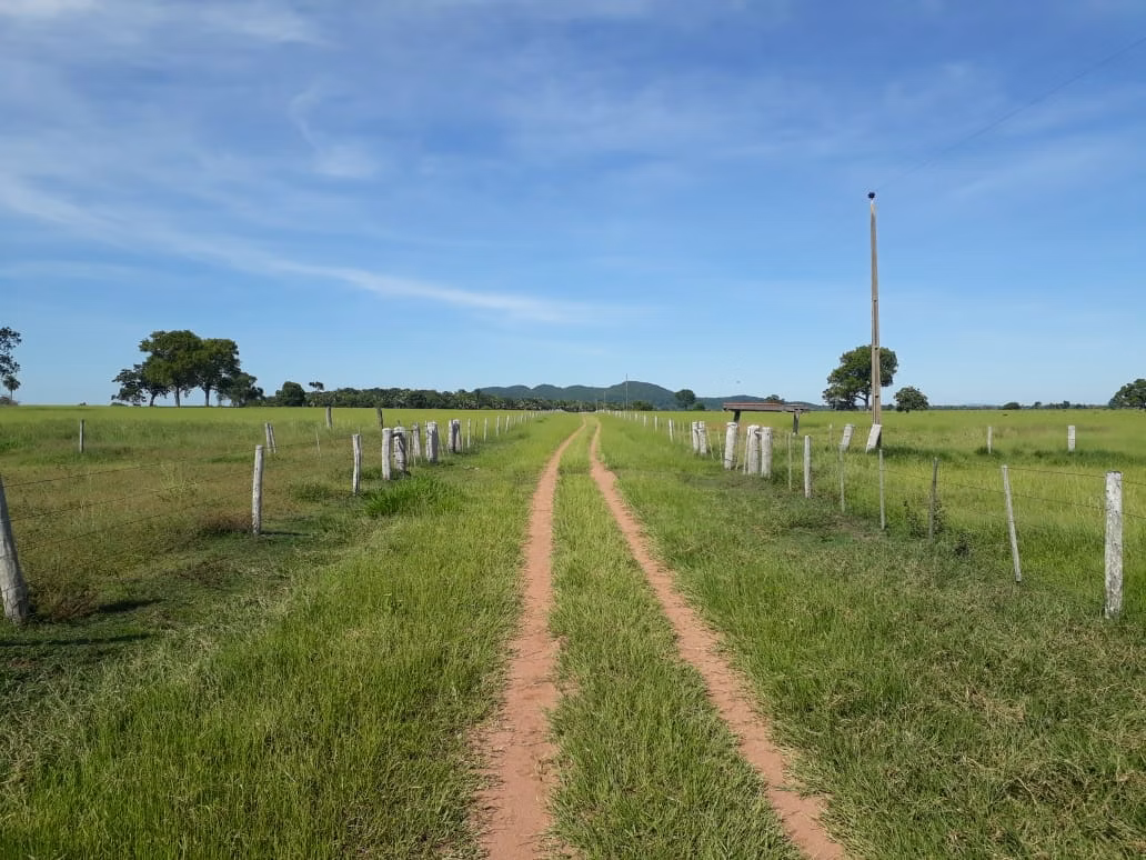Farm of 1.359 acres in Santo Antônio de Leverger, MT, Brazil