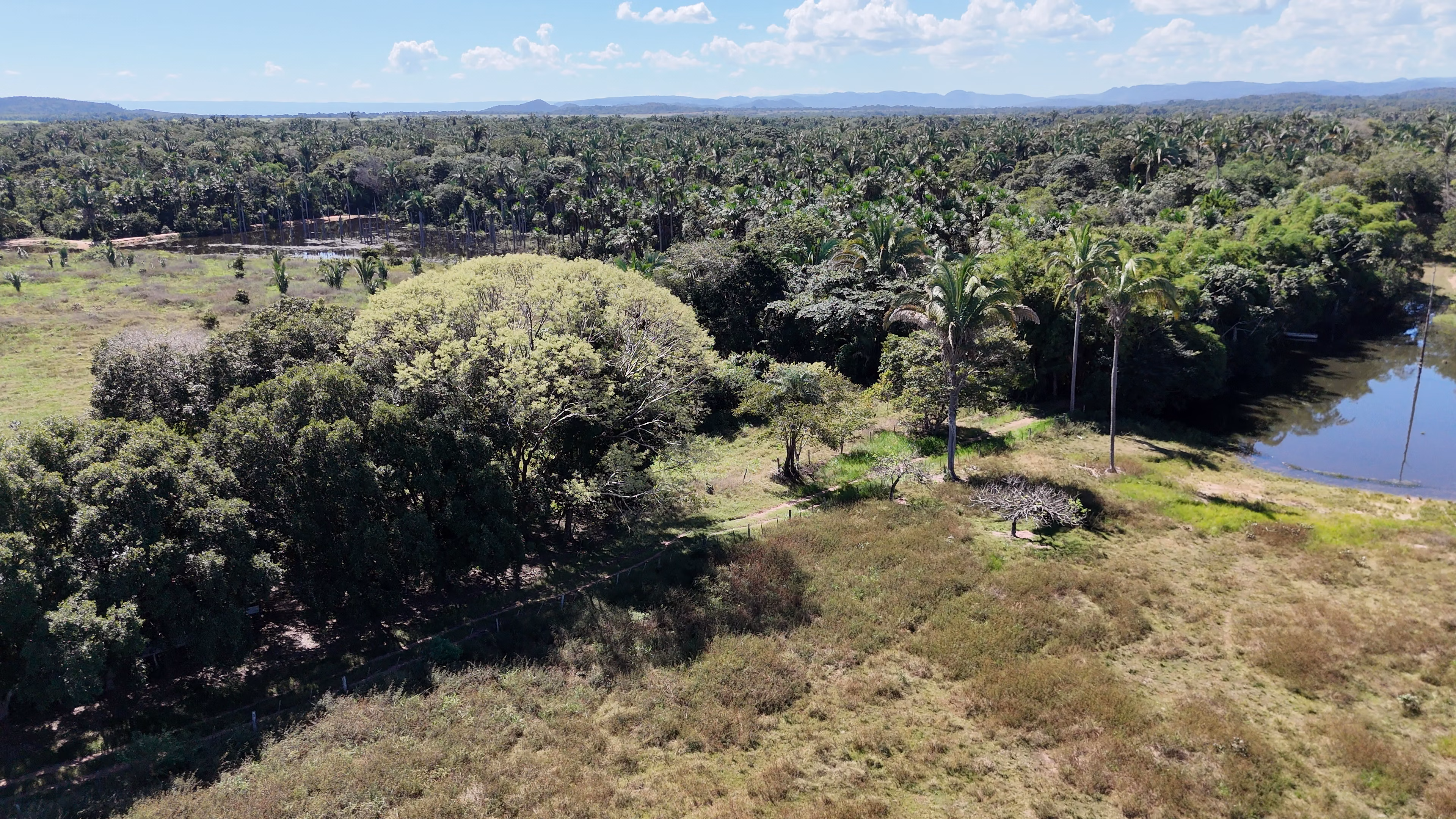 Farm of 1.359 acres in Santo Antônio de Leverger, MT, Brazil