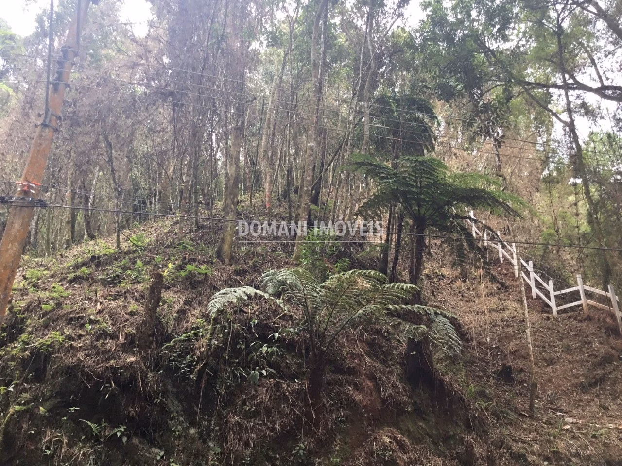 Plot of 1,010 m² in Campos do Jordão, SP, Brazil