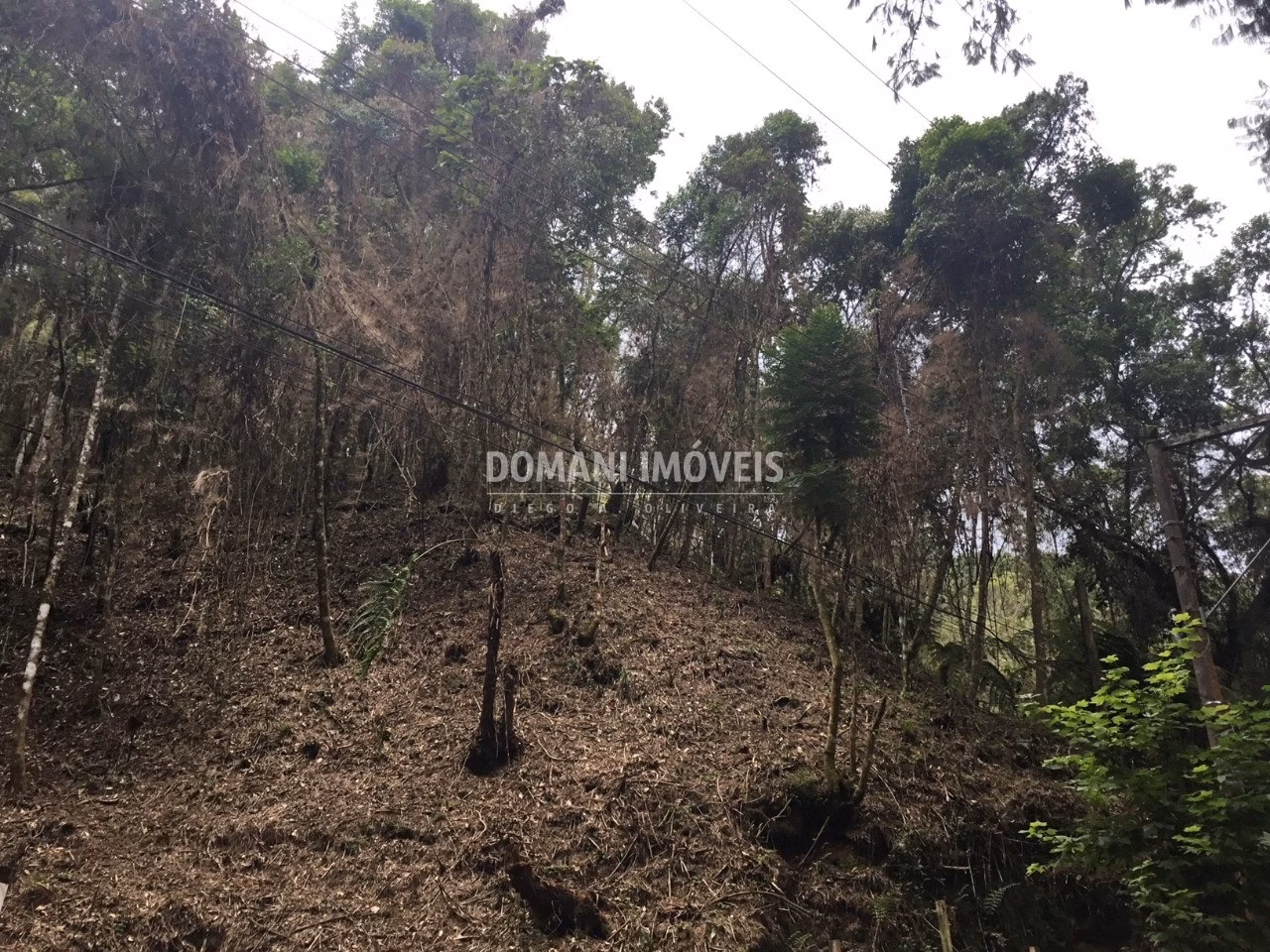 Plot of 1,010 m² in Campos do Jordão, SP, Brazil