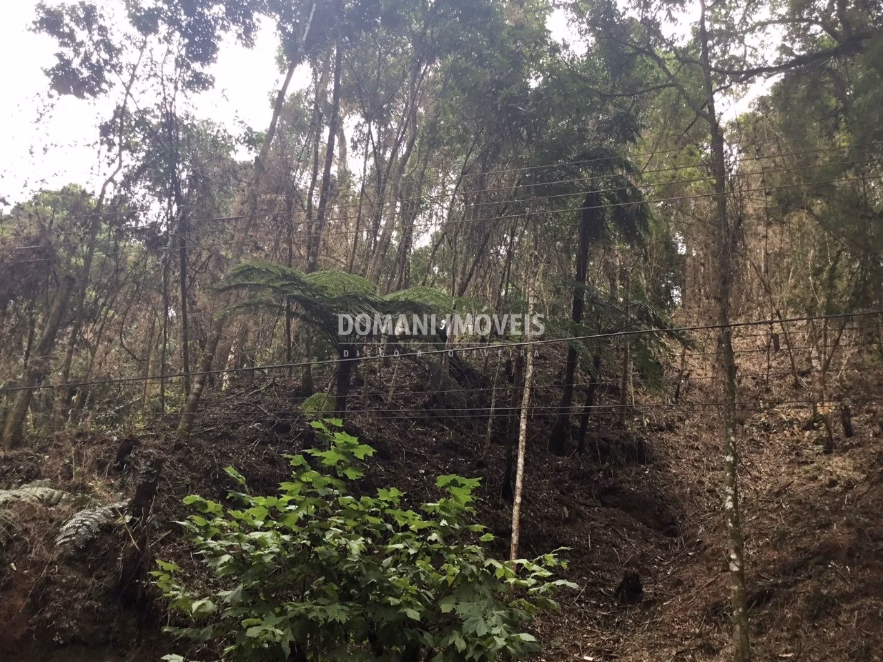 Plot of 1,010 m² in Campos do Jordão, SP, Brazil