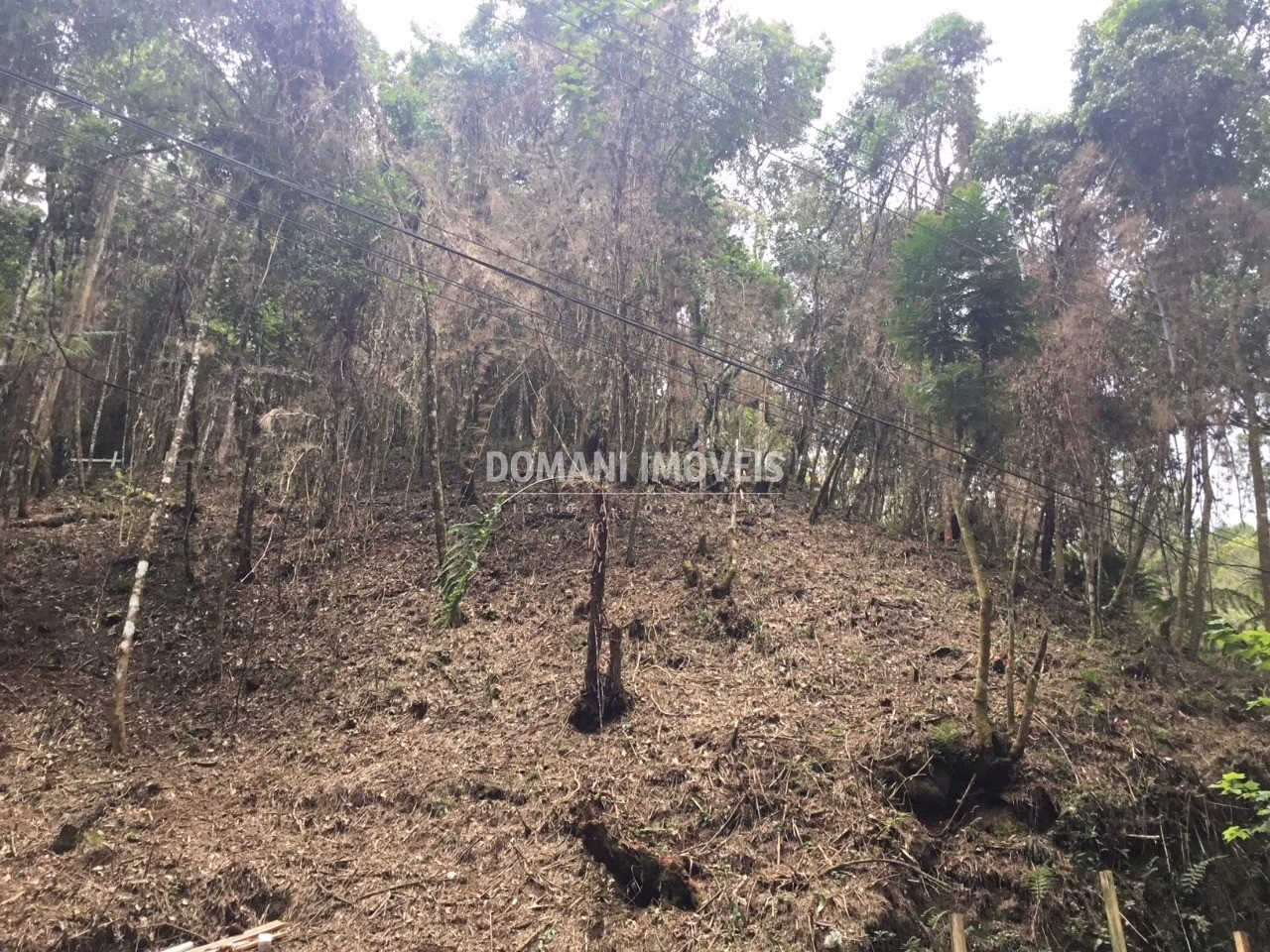 Plot of 1,010 m² in Campos do Jordão, SP, Brazil
