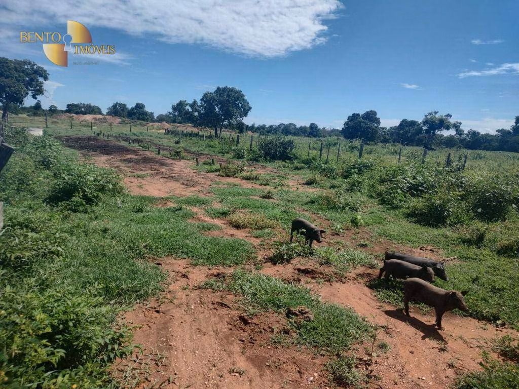 Fazenda de 300 ha em Nossa Senhora do Livramento, MT
