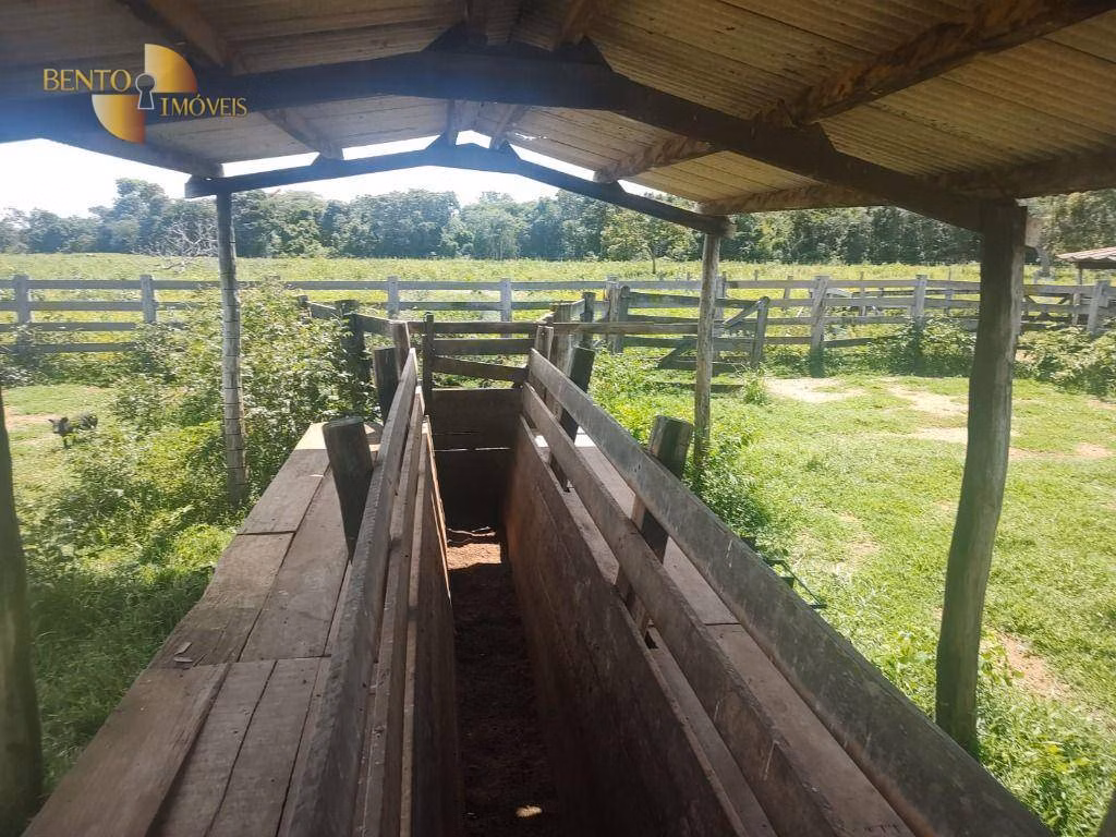 Farm of 741 acres in Nossa Senhora do Livramento, MT, Brazil