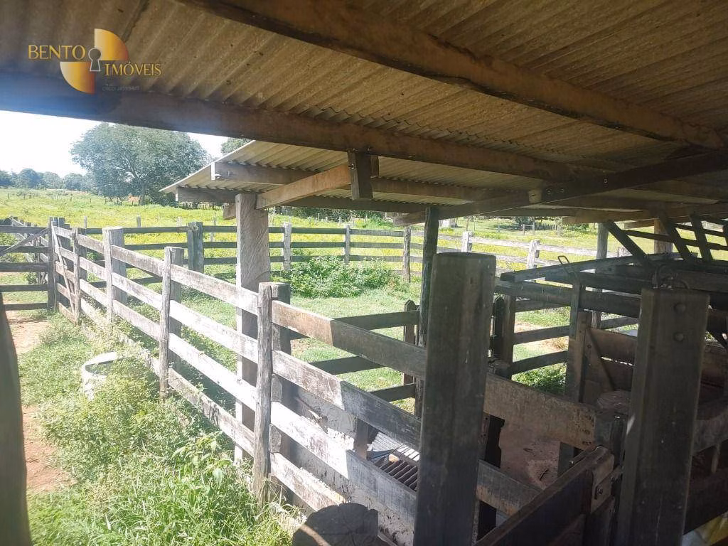 Farm of 741 acres in Nossa Senhora do Livramento, MT, Brazil