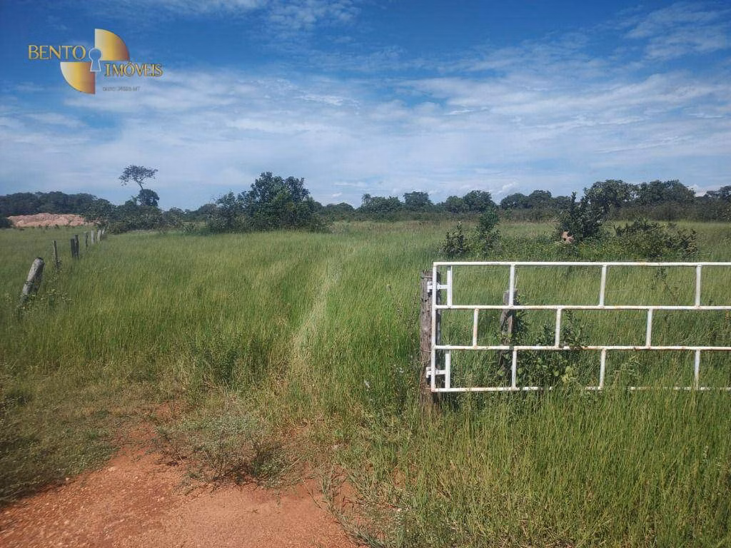 Fazenda de 300 ha em Nossa Senhora do Livramento, MT
