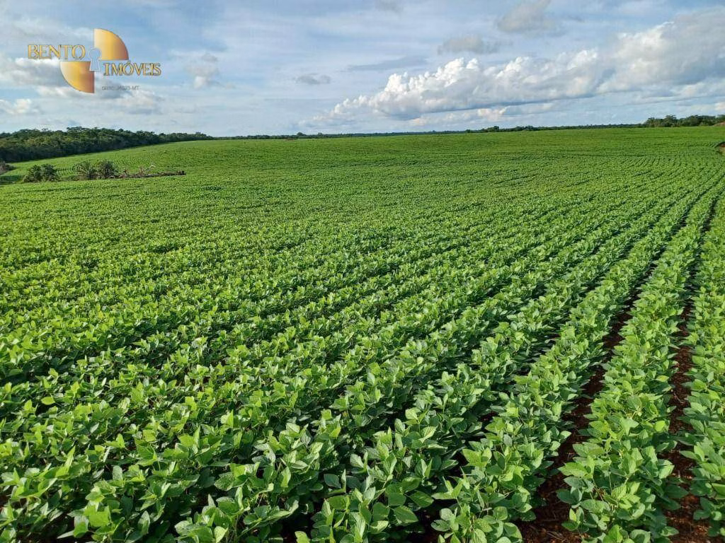 Fazenda de 3.106 ha em Água Boa, MT