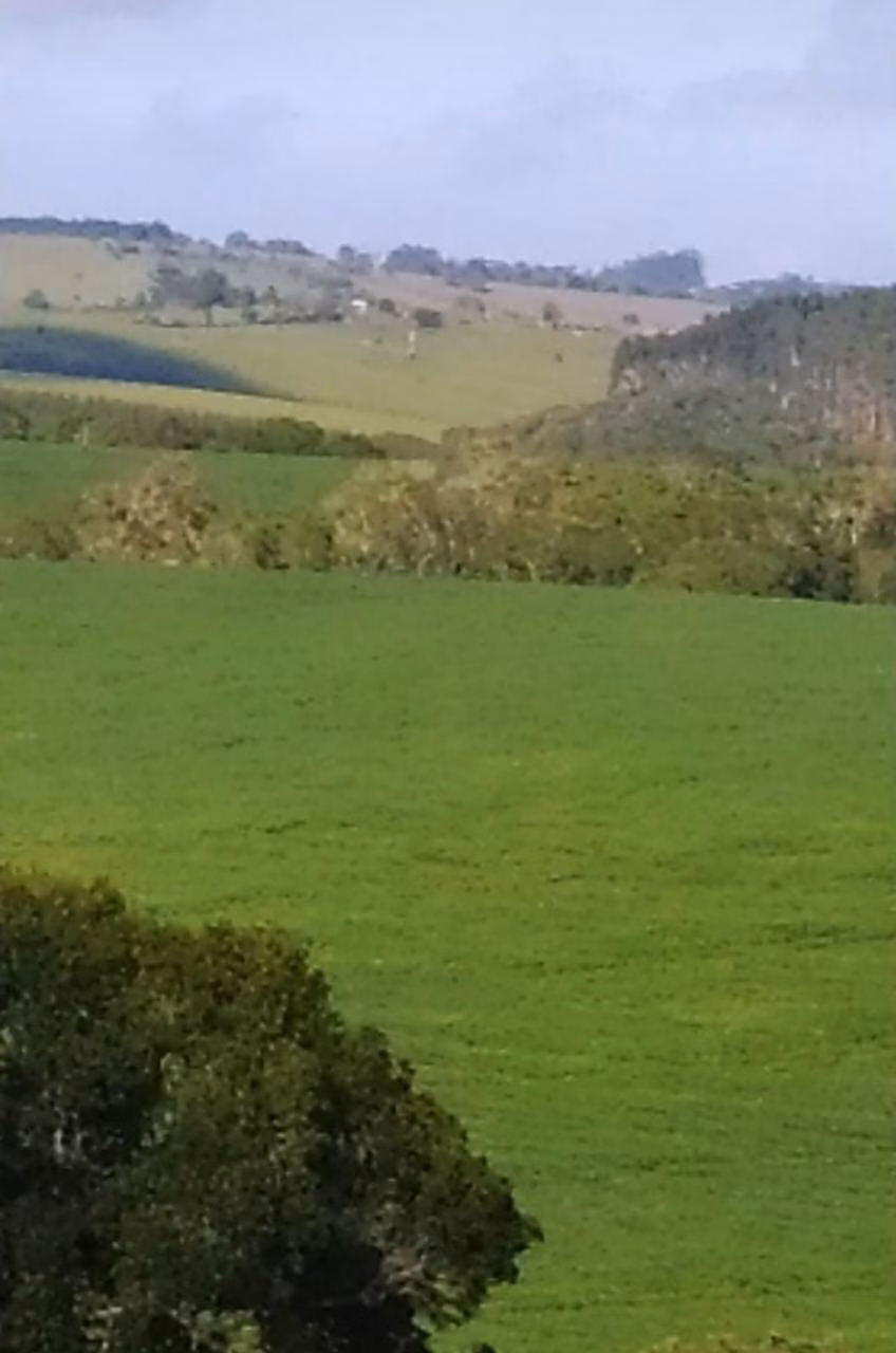 Fazenda de 242 ha em São Miguel Arcanjo, SP