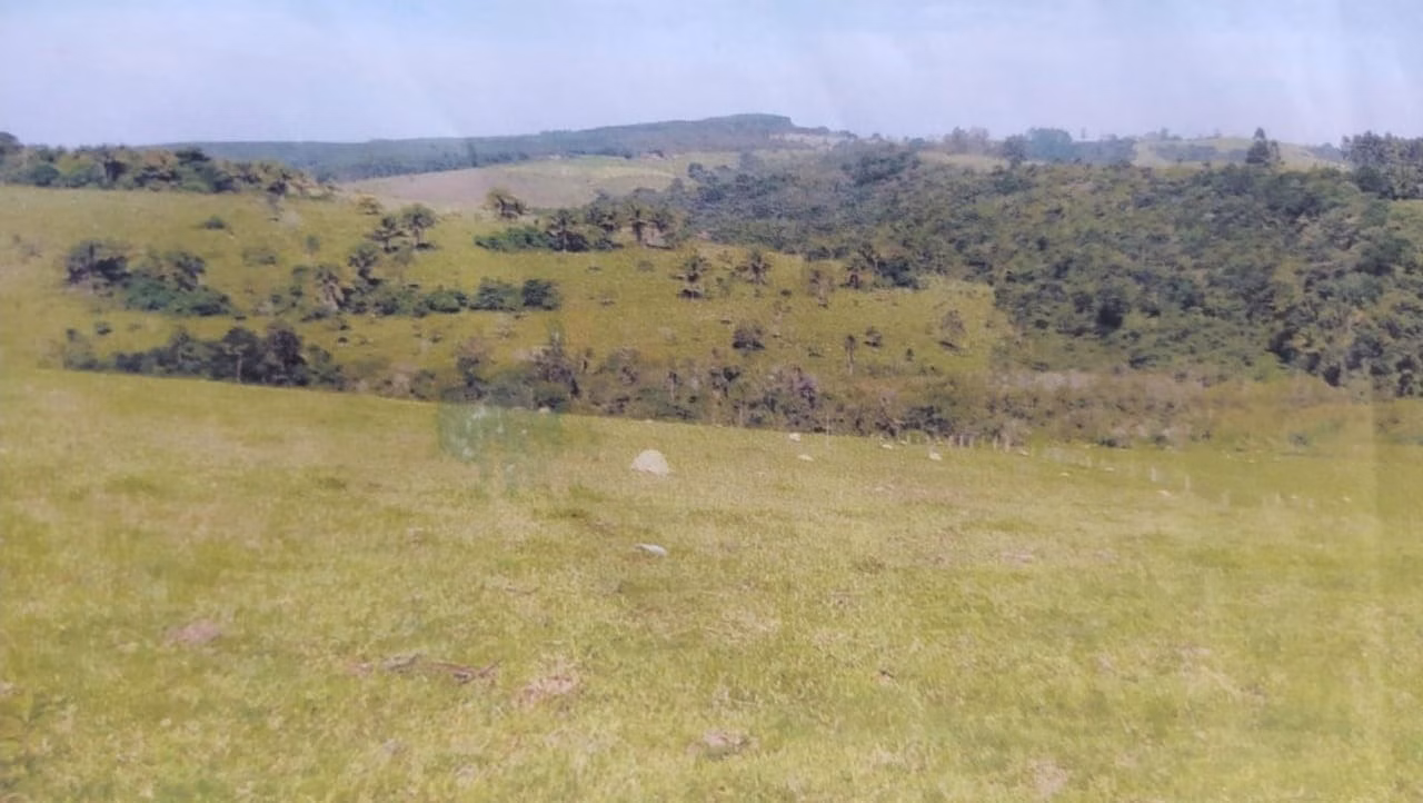Fazenda de 242 ha em São Miguel Arcanjo, SP