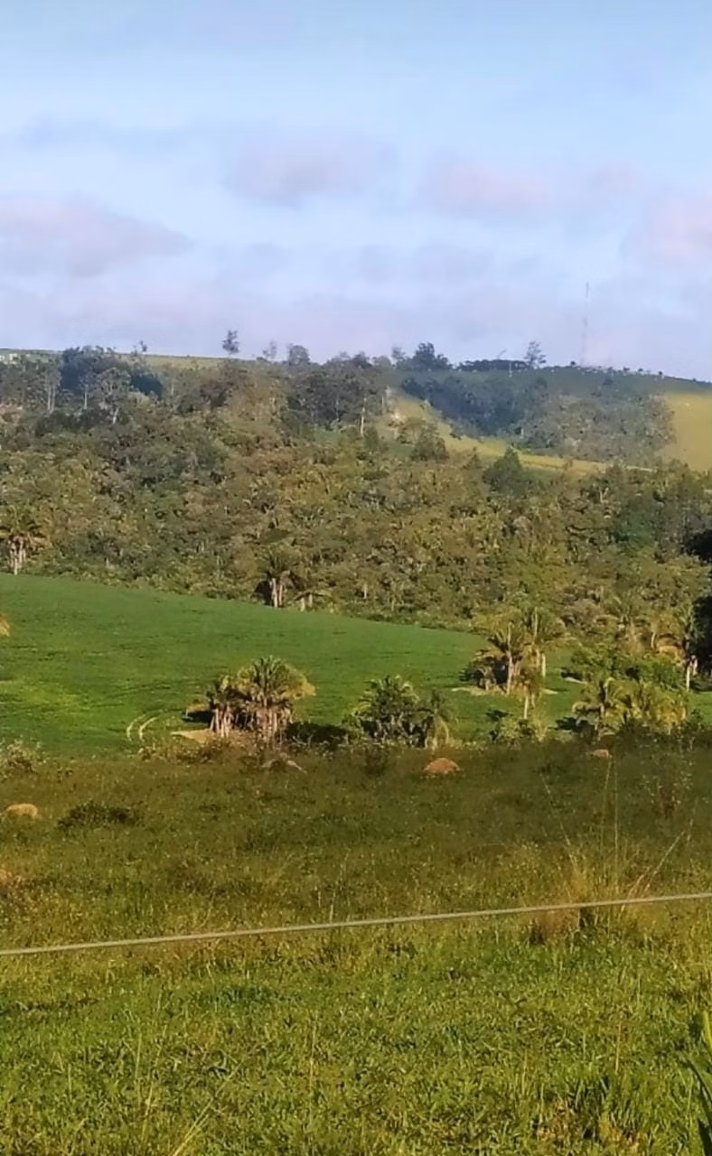 Fazenda de 242 ha em São Miguel Arcanjo, SP