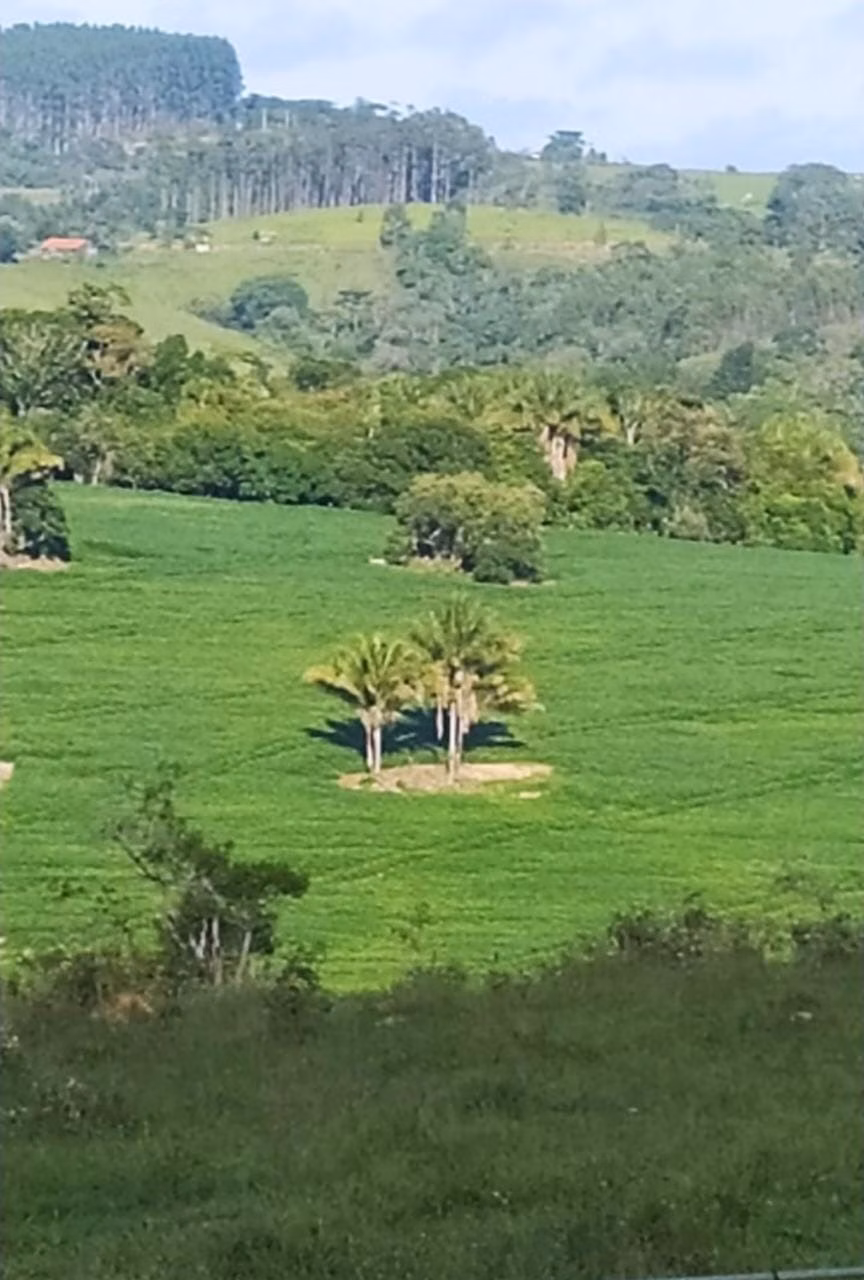 Fazenda de 242 ha em São Miguel Arcanjo, SP