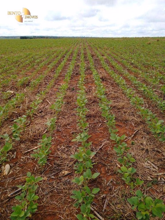 Fazenda de 5.468 ha em Nova Maringá, MT