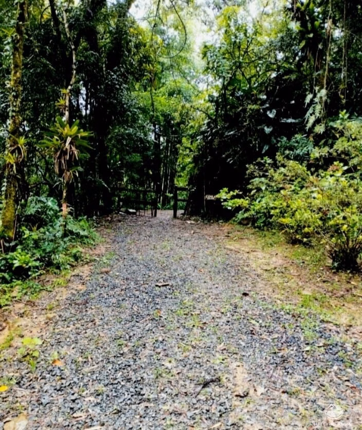 Small farm of 15 acres in São José dos Campos, SP, Brazil