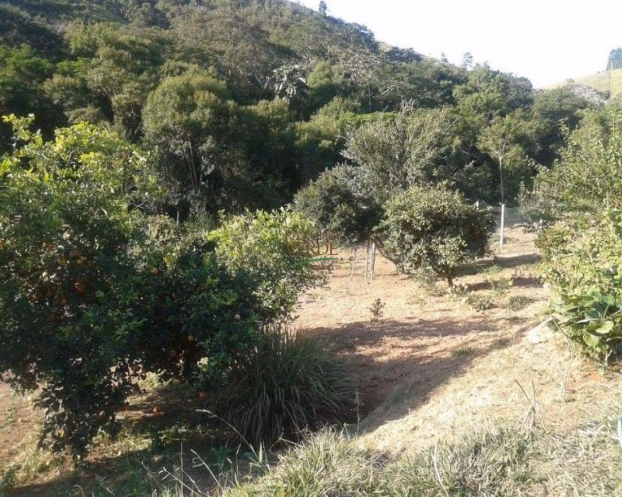 Sítio de 15 ha em Igaratá, SP