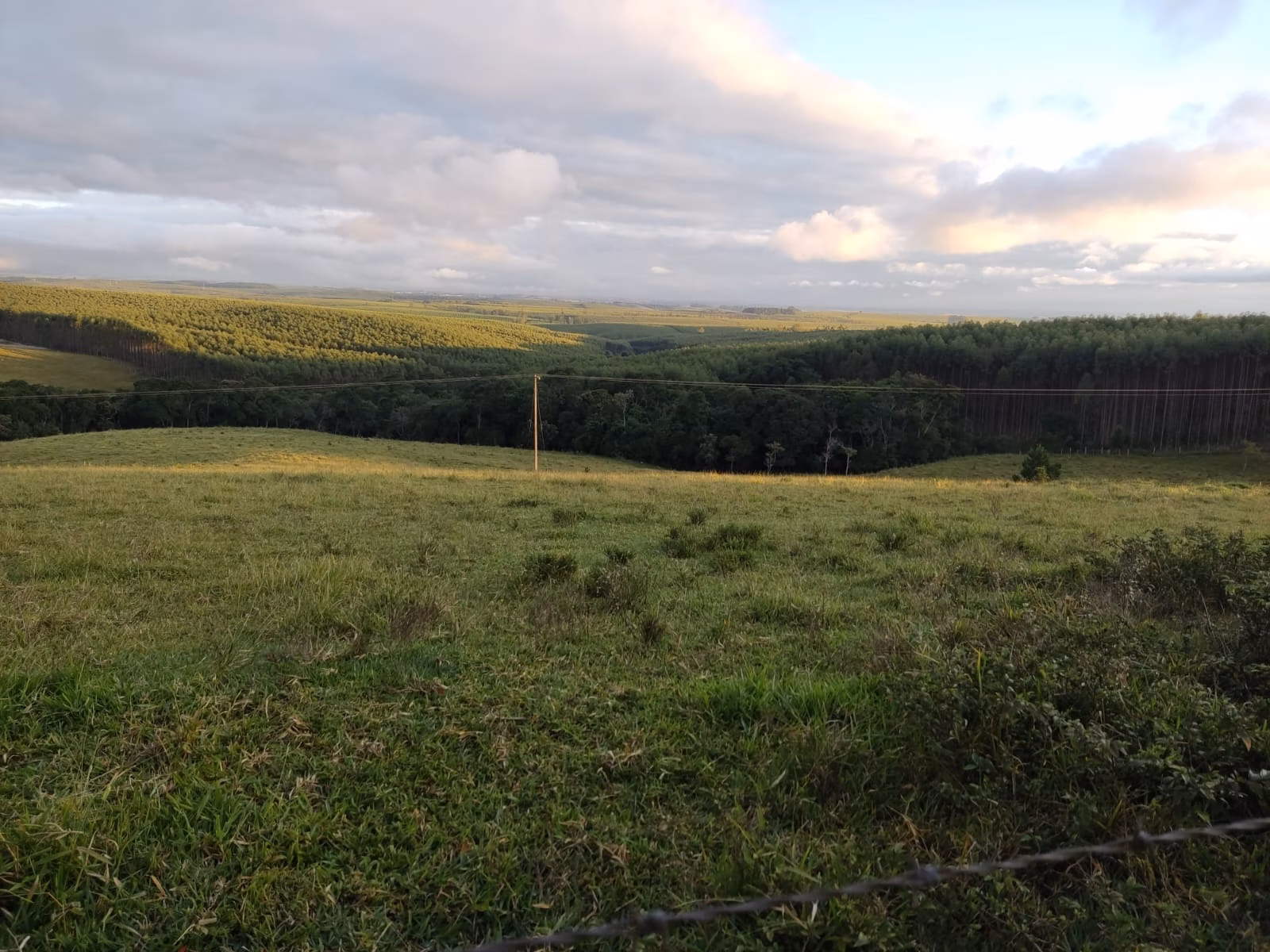 Small farm of 150 acres in São Miguel Arcanjo, SP, Brazil