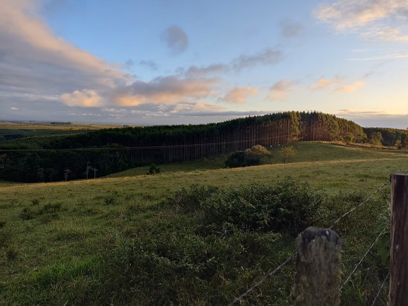 Small farm of 150 acres in São Miguel Arcanjo, SP, Brazil