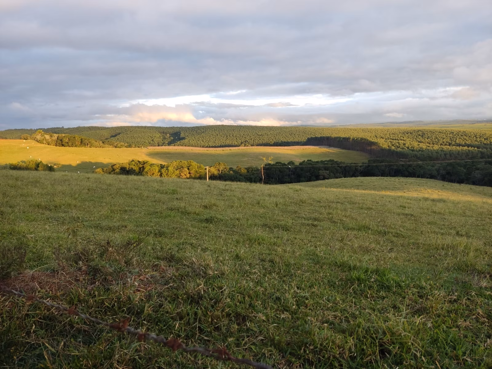 Small farm of 150 acres in São Miguel Arcanjo, SP, Brazil