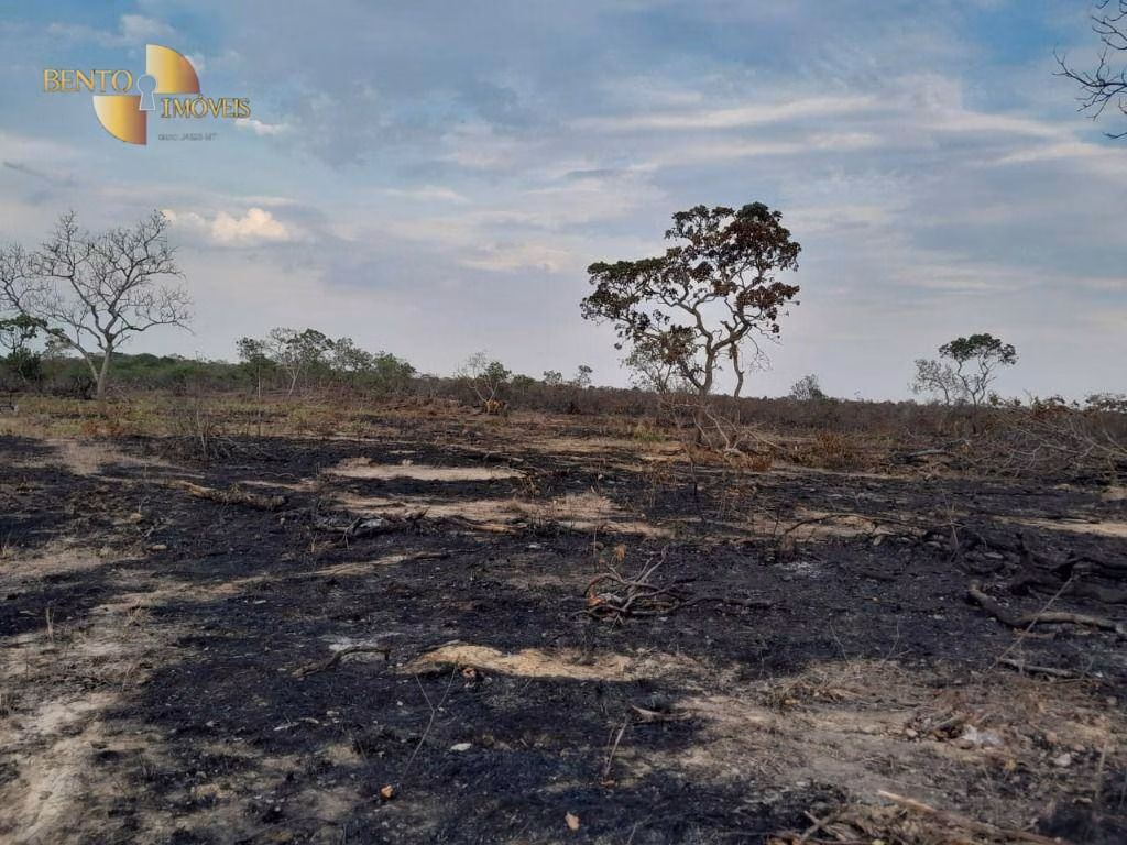 Farm of 257 acres in Cáceres, MT, Brazil