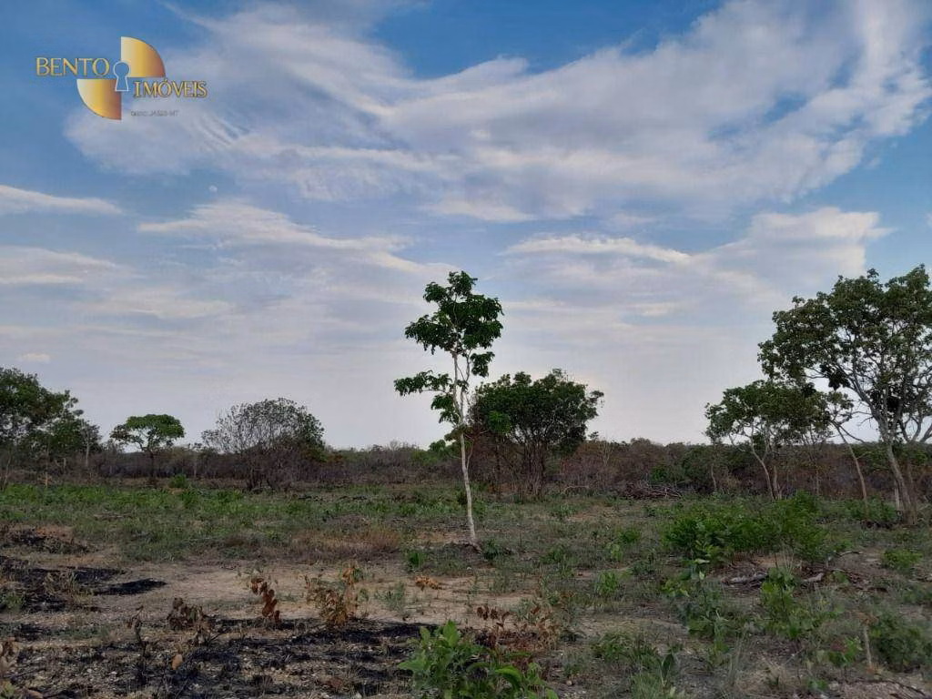 Farm of 257 acres in Cáceres, MT, Brazil