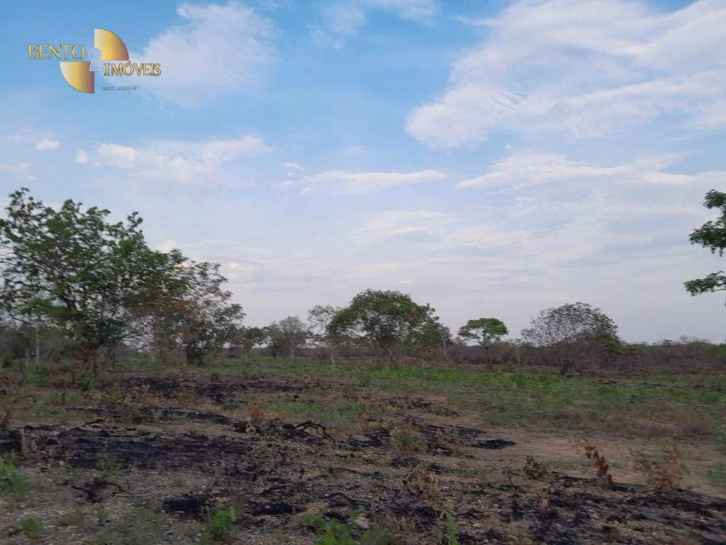 Farm of 257 acres in Cáceres, MT, Brazil