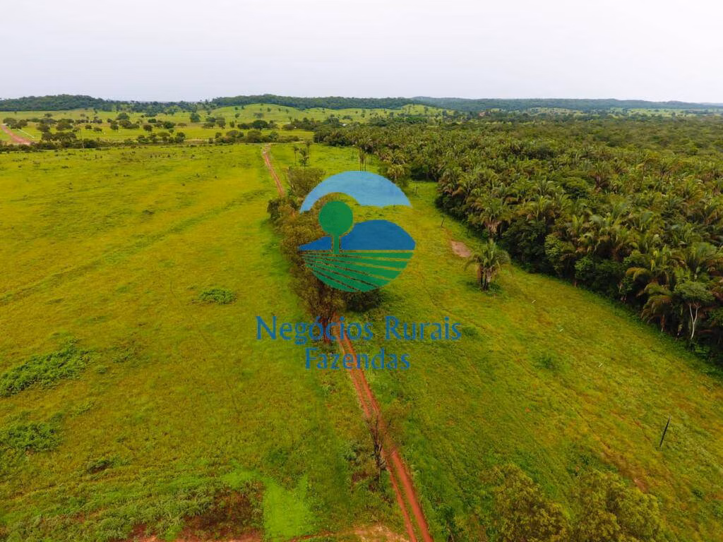 Fazenda de 2.739 ha em Guaraí, TO