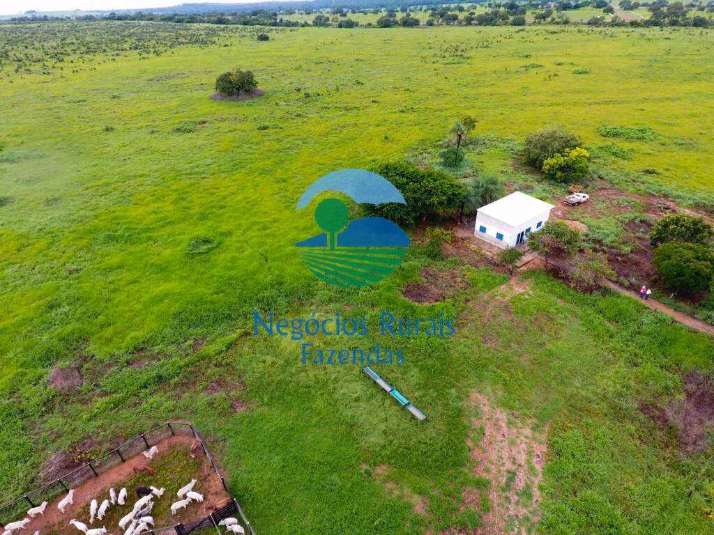 Fazenda de 2.739 ha em Guaraí, TO