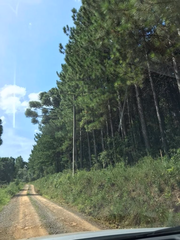 Fazenda de 361 ha em Pinhal da Serra, RS