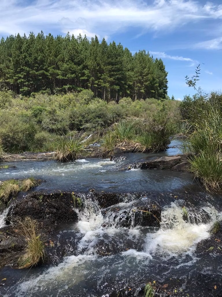 Fazenda de 361 ha em Pinhal da Serra, RS