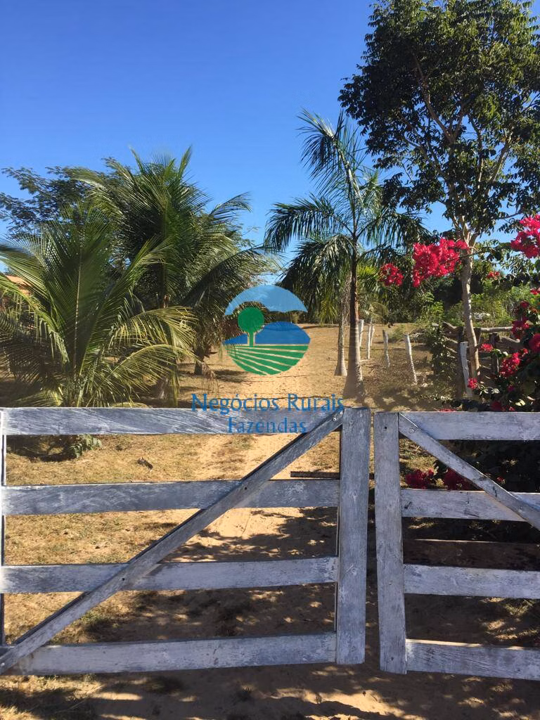 Fazenda de 774 ha em Conceição do Tocantins, TO