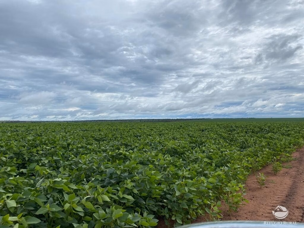 Fazenda de 8.300 ha em Chapadão do Sul, MS
