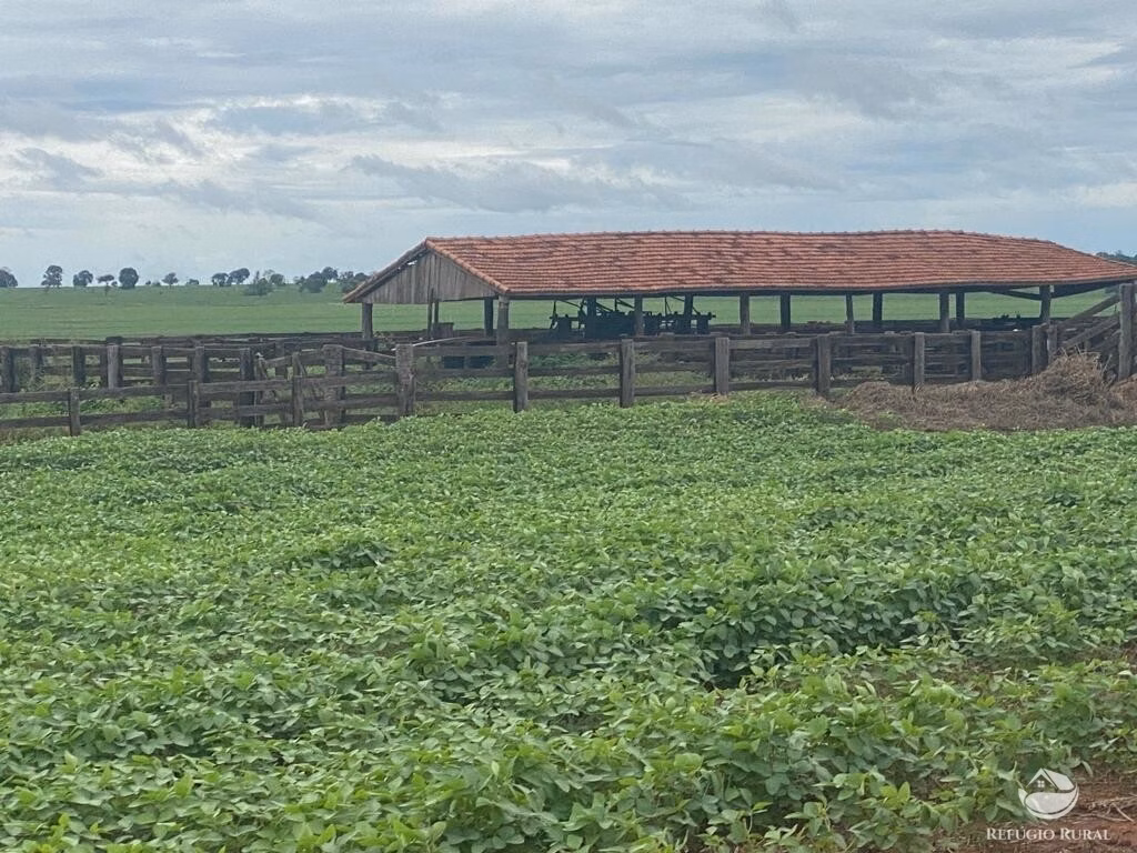 Fazenda de 8.300 ha em Chapadão do Sul, MS