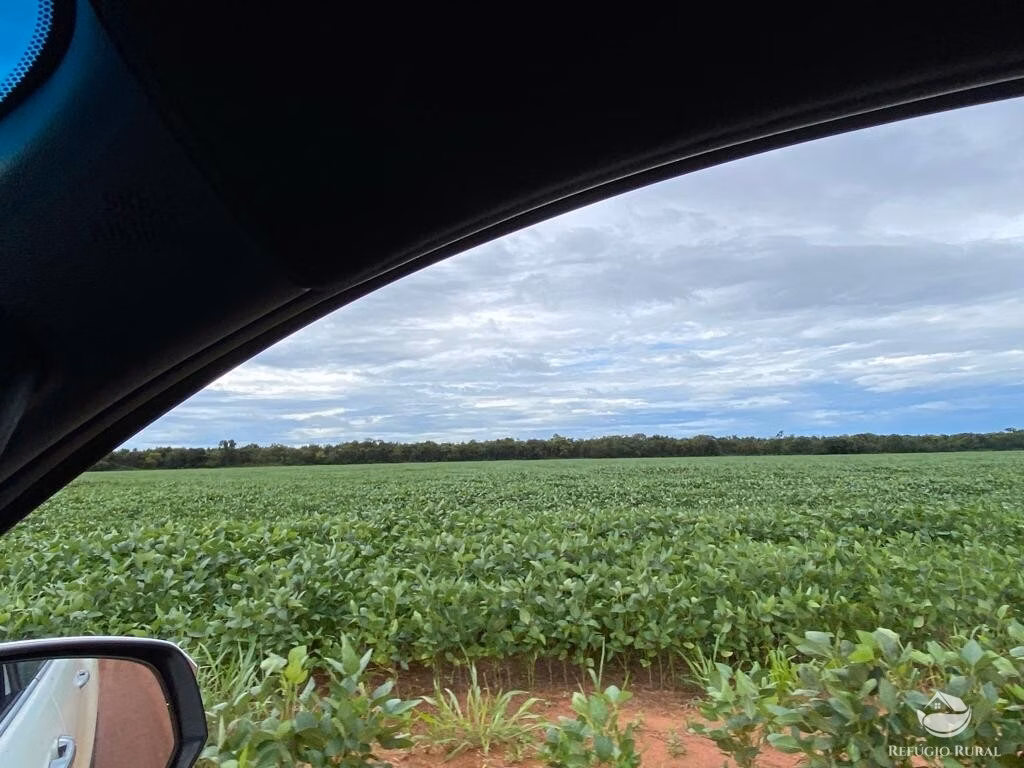 Fazenda de 8.300 ha em Chapadão do Sul, MS