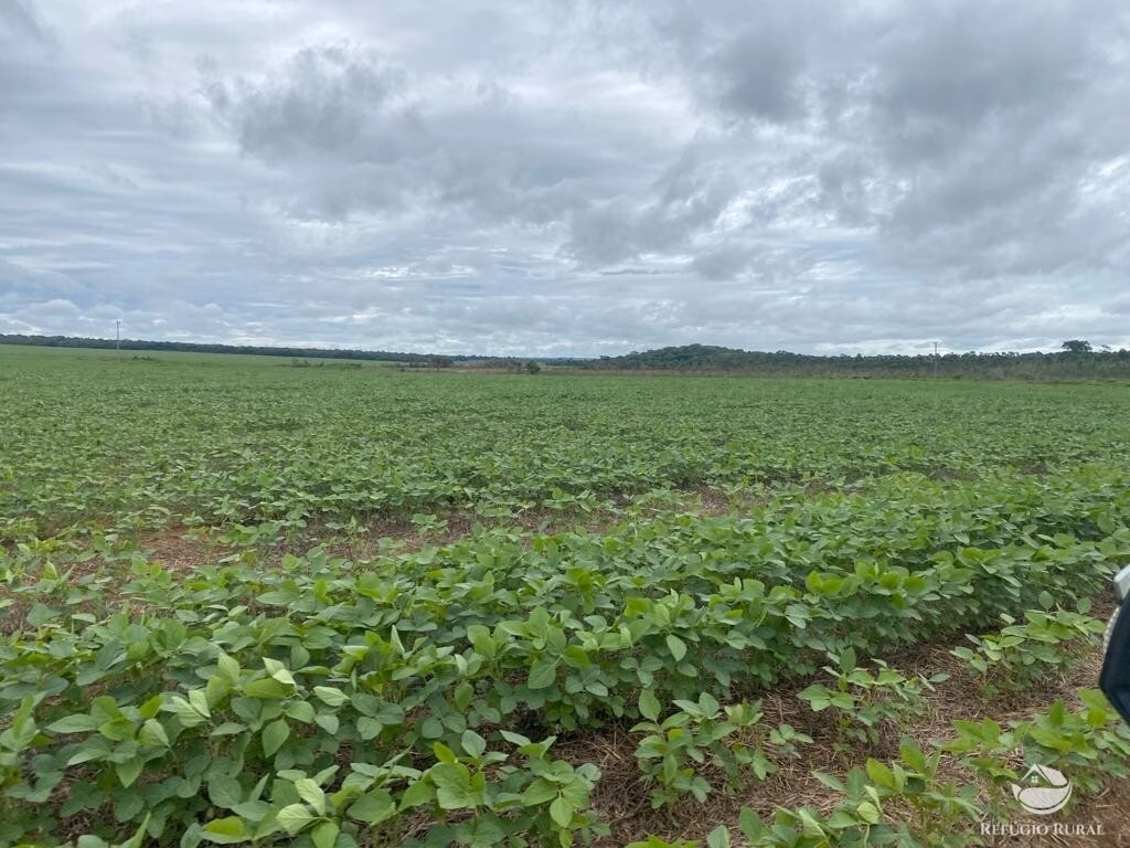 Fazenda de 8.300 ha em Chapadão do Sul, MS