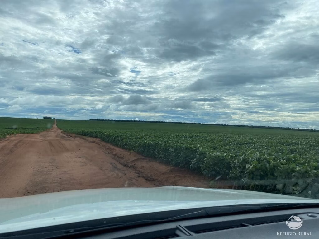 Fazenda de 8.300 ha em Chapadão do Sul, MS