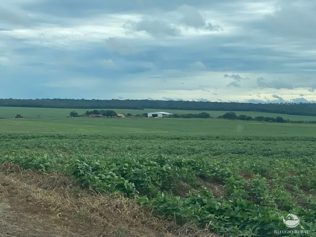 Fazenda de 8.300 ha em Chapadão do Sul, MS
