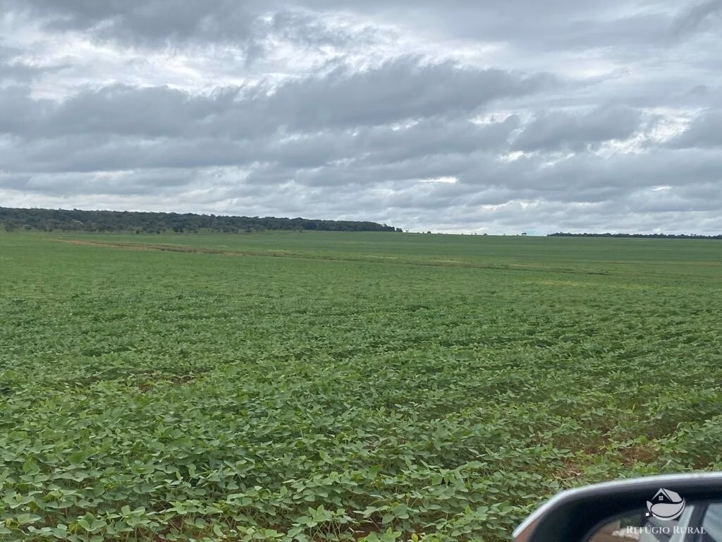 Fazenda de 8.300 ha em Chapadão do Sul, MS