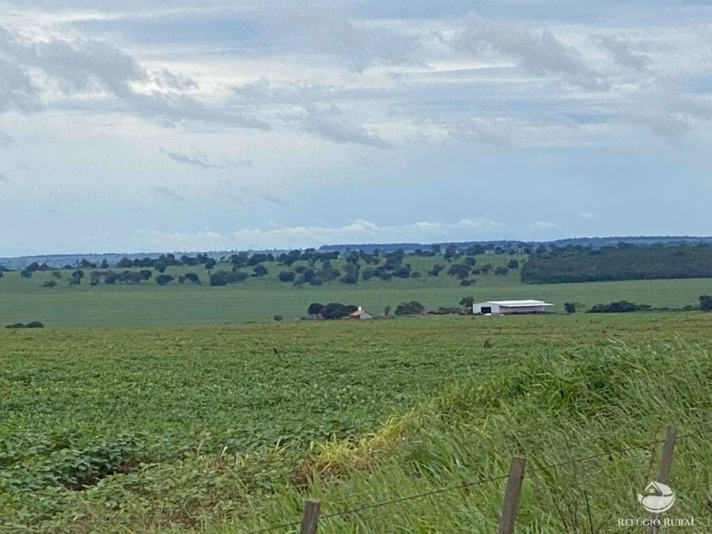 Fazenda de 8.300 ha em Chapadão do Sul, MS