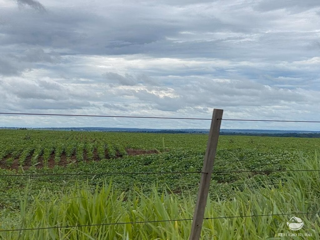 Fazenda de 8.300 ha em Chapadão do Sul, MS