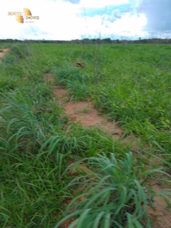 Fazenda de 4.500 ha em Marcelândia, MT