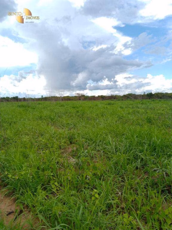 Fazenda de 4.500 ha em Marcelândia, MT