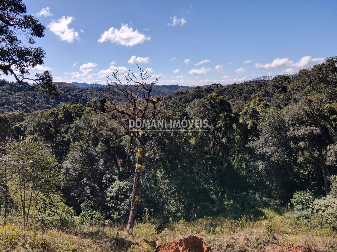 Plot of 1,110 m² in Campos do Jordão, SP, Brazil