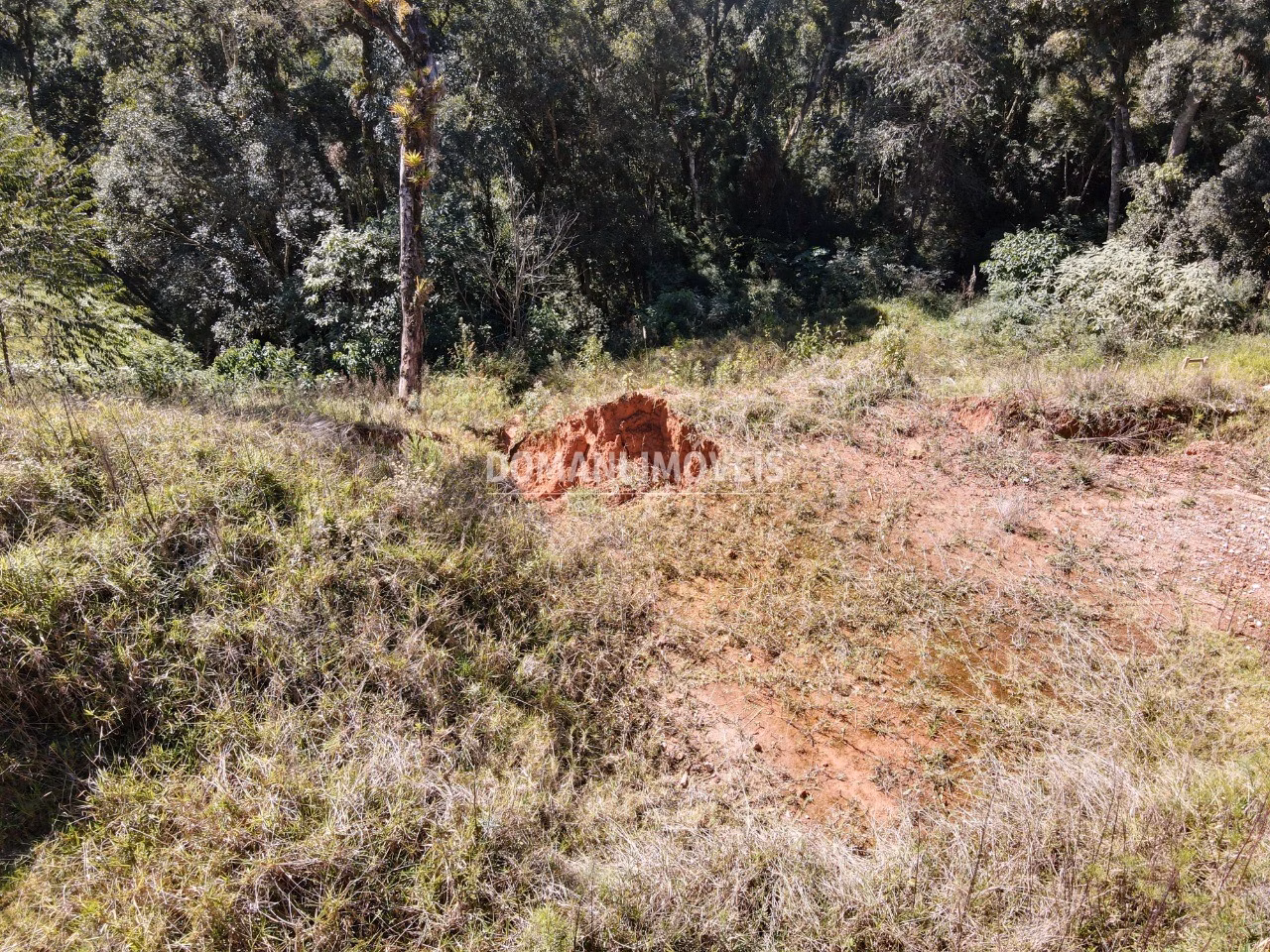 Plot of 1,110 m² in Campos do Jordão, SP, Brazil