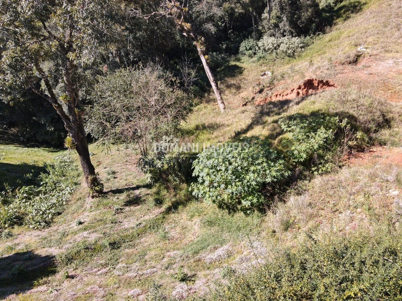 Plot of 1,110 m² in Campos do Jordão, SP, Brazil